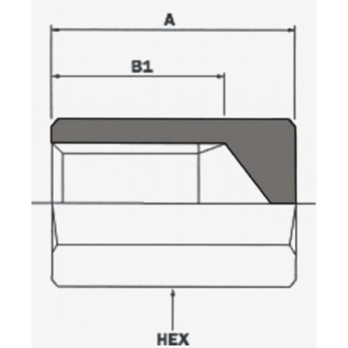 Lock 503 CF BSP DUNLOP HIFLEX